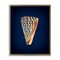 Stupell Industries Cone Shell on Blue Floater Framed Canvas Wall Art Design by Graffi*tee Studios
